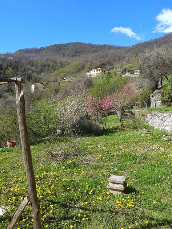 Отель Rural House Rondini Camposasco Экстерьер фото